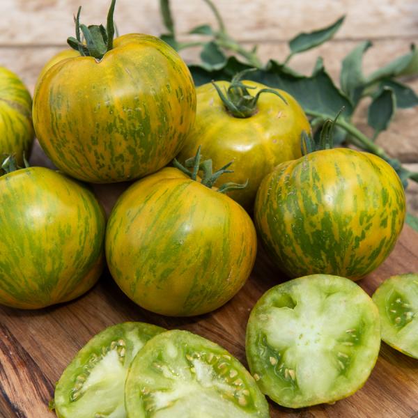 Potagères - Tomate Green Zebra - BIO - face recto